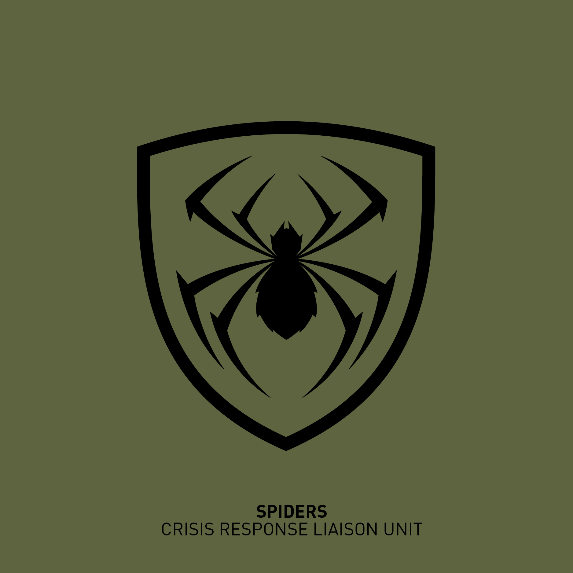 06spiders-01